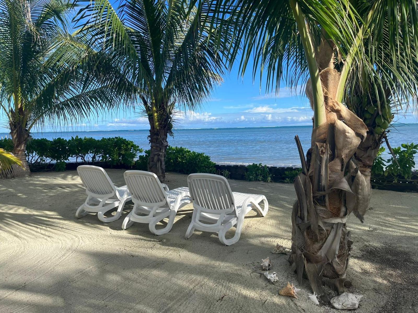 Captain Morgan'S Retreat サン・ペドロ エクステリア 写真
