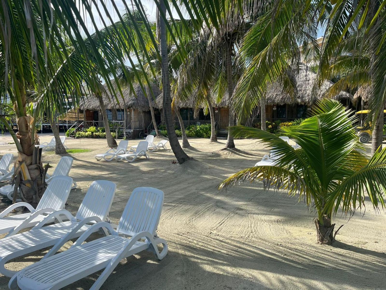 Captain Morgan'S Retreat サン・ペドロ エクステリア 写真