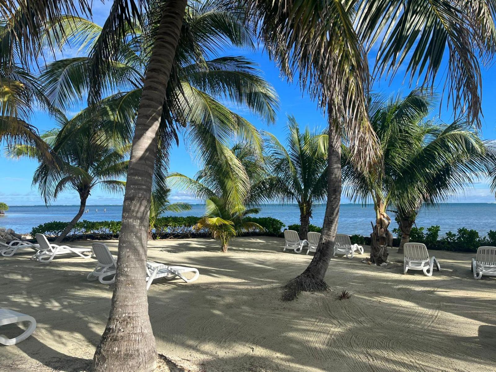 Captain Morgan'S Retreat サン・ペドロ エクステリア 写真